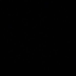 Meet your Posher, Joes